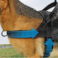 🥳2026 HOT SALE🥳💞50K+ SOLD!🐕💪 50% OFF! Heavy‑Duty Tactical Dog Harness – No‑pull, no‑choke. Reflective strips for night walks. Padded & easy‑grip handle. 🛡️✨