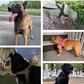 🥳2026 HOT SALE🥳💞50K+ SOLD!🐕💪 50% OFF! Heavy‑Duty Tactical Dog Harness – No‑pull, no‑choke. Reflective strips for night walks. Padded & easy‑grip handle. 🛡️✨