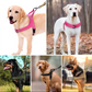 🥳2026 HOT SALE🥳💞50K+ SOLD!🐕💪 50% OFF! Heavy‑Duty Tactical Dog Harness – No‑pull, no‑choke. Reflective strips for night walks. Padded & easy‑grip handle. 🛡️✨